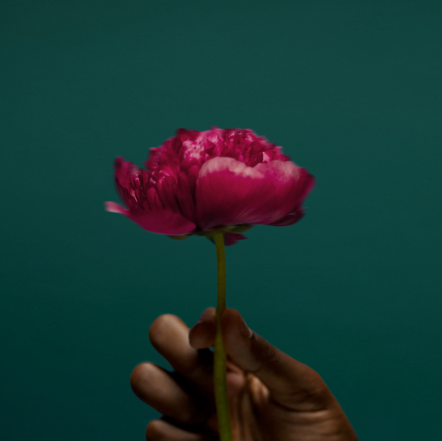 Totality Contracting project